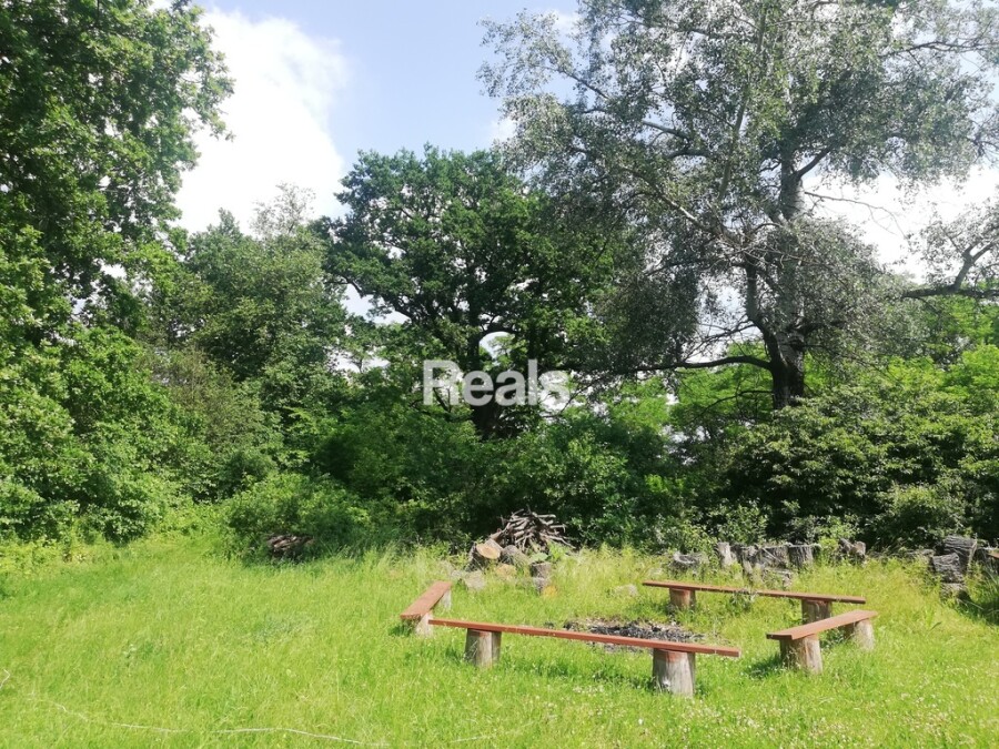 SKIERDY, Działka na siedlisko lub dla inwestora, Jabłonna.
