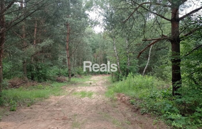 mazowieckie, ŻYRARDOWSKI, Ogrodzone działki, cisza, przyroda, bez dzików