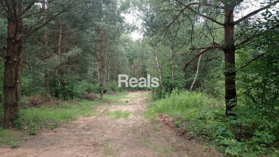 PIEŃKI OSUCHOWSKIE, Ogrodzone działki, cisza, przyroda, bez dzików