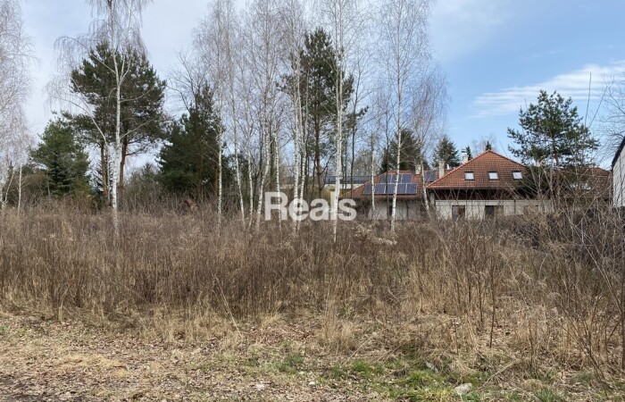 mazowieckie, PRUSZKOWSKI, CICHO ZIELONO SPOKOJNIE