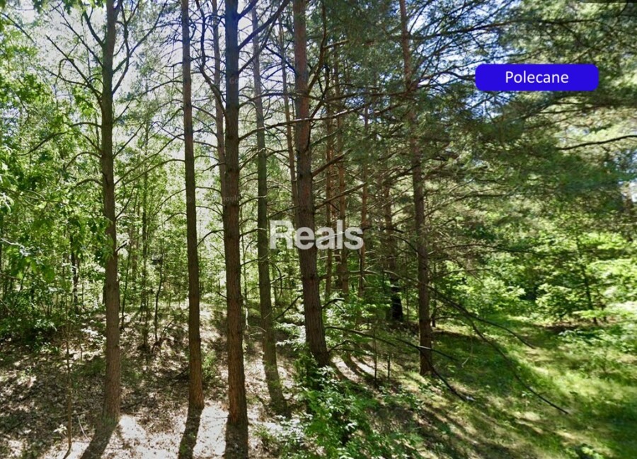 CHEŁSTY, Działka 1402 m2 Narew, las, MPZP gm. Różan.