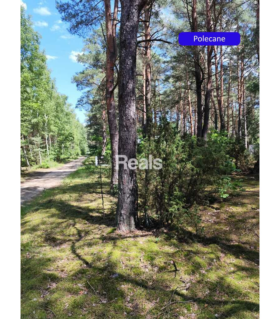 CHEŁSTY, Działka 1402 m2 Narew, las, MPZP gm. Różan.